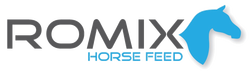 Romix Logo